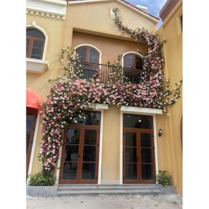 Cây Hoa Hồng Giả Trang Trí Sự Kiện – Lễ Hội