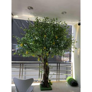 Cây Khế Giả Trang Trí Ngoại Thất