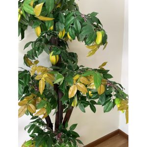 Cây Khế Giả Trang Trí Phòng Khách