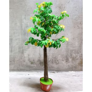 Cây Khế Giả Trang Trí Sân Vườn