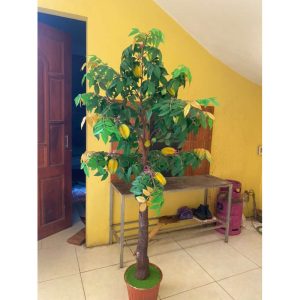 Cây Khế Giả Kích Thước Lớn
