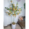 cay luu gia 1 - Cây Lựu Giả Trang Trí Nội Thất