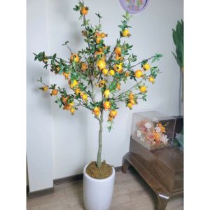 Cây Lựu Giả Trang Trí Nội Thất