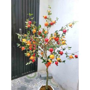 Cây Lựu Giả Trang Trí Khai Trương