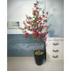 cay luu gia 13 - Cây Lựu Giả Trang Trí Sự Kiện