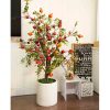 cay luu gia 14 - Cây Lựu Giả Kích Thước Lớn