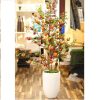 cay luu gia 15 - Cây Lựu Giả Dáng Cổ Thụ