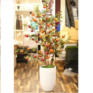 Cây Lựu Giả Dáng Cổ Thụ