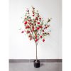 cay luu gia 16 - Cây Lựu Giả Dáng Bonsai