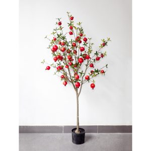Cây Lựu Giả Dáng Bonsai