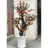 cay luu gia 17 - Cây Lựu Giả Cho Văn Phòng
