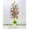 cay luu gia 18 - Cây Lựu Giả Trang Trí Không Gian Truyền Thống