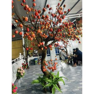 Cây Lựu Giả Trang Trí Phòng Khách