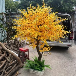Cây Mai Vàng Giả 01