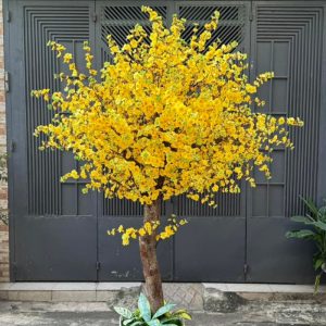 Cây Mai Vàng Giả 12