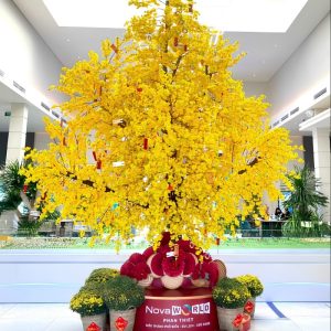 Cây Mai Vàng Giả 13