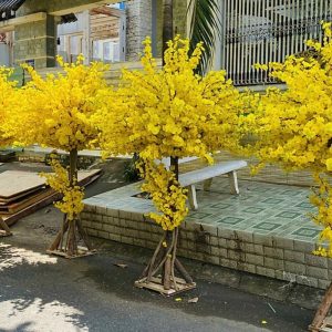 Cây Mai Vàng Giả 02
