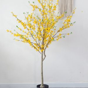 Cây Mai Vàng Giả 20