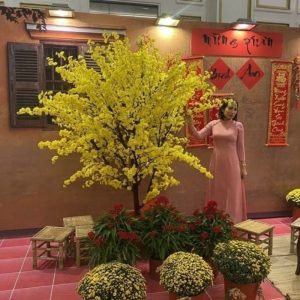 Cây Mai Vàng Giả 22