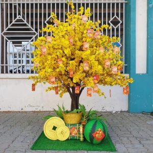 Cây Mai Vàng Giả 23