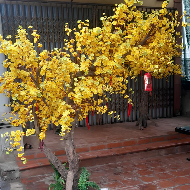 Cây Mai Vàng Giả 24