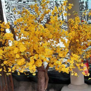Cây Mai Vàng Giả 25