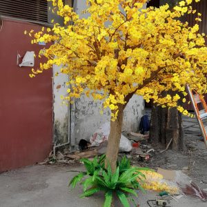 Cây Mai Vàng Giả 26