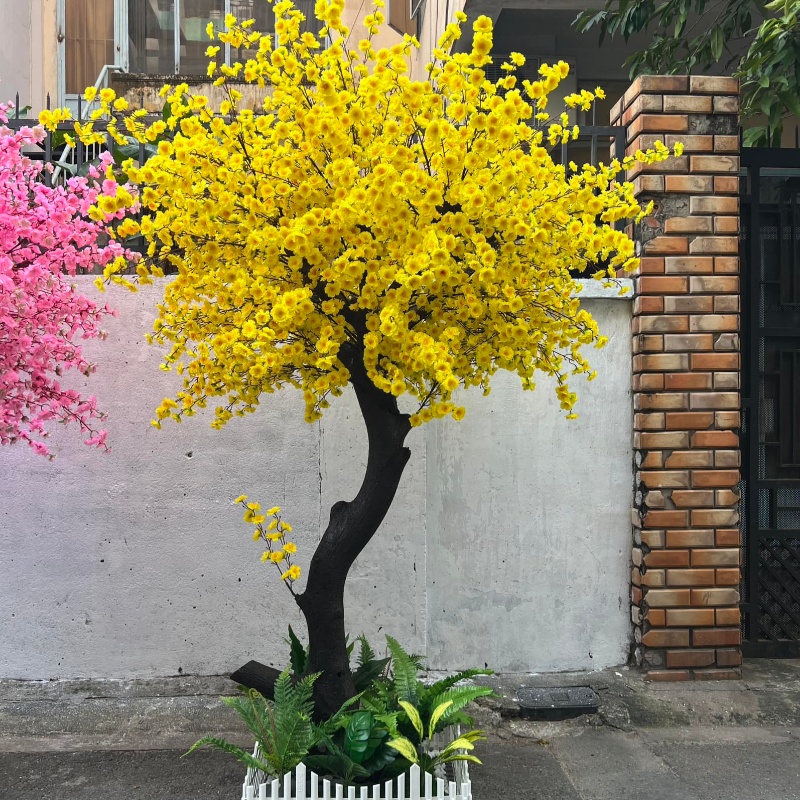 Cây Mai Vàng Giả 09