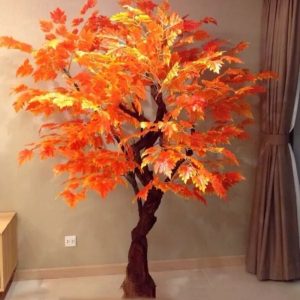 Cây Phong Giả Lá Đỏ 04