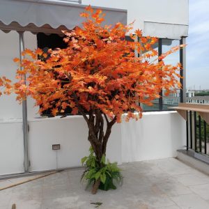 Cây Phong Giả Lá Đỏ 07