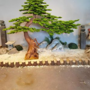 Cây Tùng Bonsai Trang Trí 01
