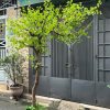 cay xanh 2 - Cây Xanh Giả Trang Trí 02