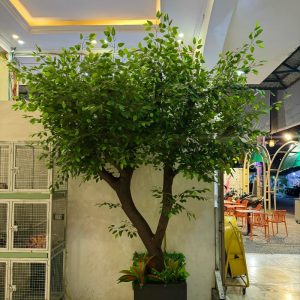 Cây Xanh Giả Trang Trí 03