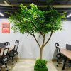 cay xanh 5 - Cây Xanh Giả Trang Trí 05