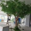 cay xanh 6 - Cây Xanh Giả Trang Trí 06