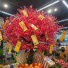 dao do 1 - Cây Đào Đỏ Giả 01
