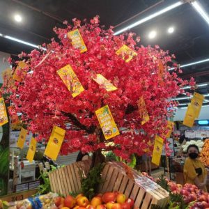 Cây Đào Đỏ Giả 01