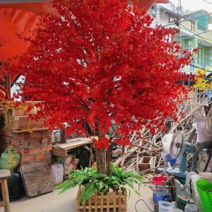 Cây Đào Đỏ Giả 02