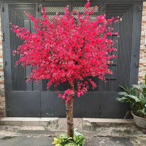Cây Đào Đỏ Giả 04