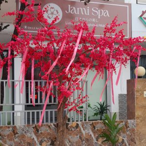 Cây Đào Đỏ Giả 06