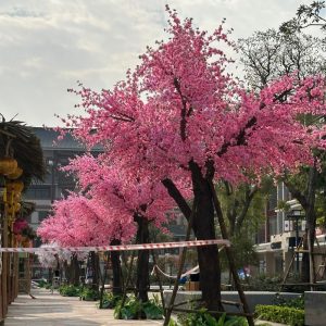 Cây Hoa Anh Đào Giả 16