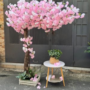 Cây Hoa Anh Đào Giả 20