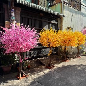 Cây Hoa Anh Đào Giả 21