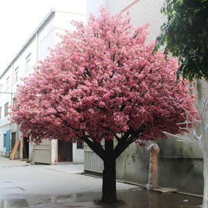 Cây Hoa Anh Đào Giả 23