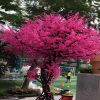 hoa anh dao 24 - Cây Hoa Anh Đào Giả 24