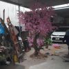 hoa anh dao 40 - Cây Hoa Anh Đào Giả 40