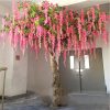 hoa tu dang 1 - Cây Hoa Tử Đằng 01