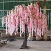 hoa tu dang 5 - Cây Hoa Tử Đằng 05