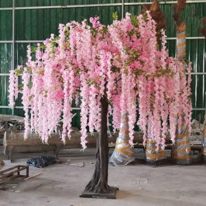 Cây Hoa Tử Đằng 05
