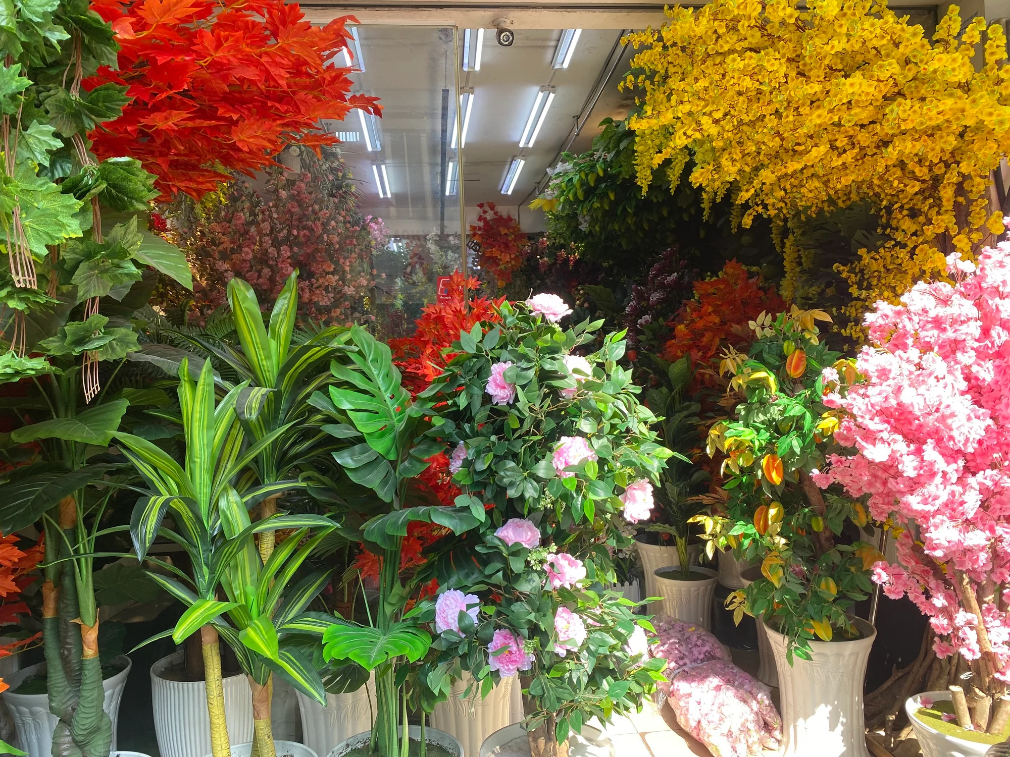 hoagia - Trang chủ